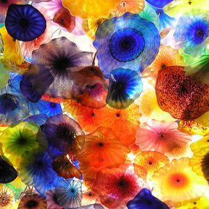 Meet your Posher, Kris